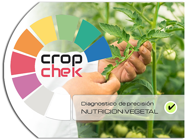 analisis de savia