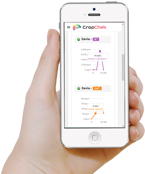 Los resultados de los analisis de savia son grabados en una app web para su consulta